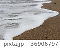 波 36906797
