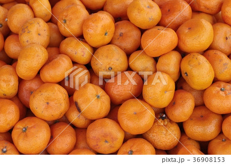 Orange fruit in the market. Orange fruit in the market. 36908153