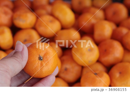Orange fruit in the market. Orange fruit in the market. 36908155