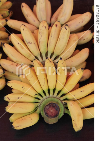 Ripe banana is delicious in the market. Ripe banana is delicious in the market. 36908159