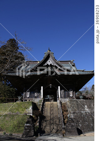 観音教寺 芝山仁王尊 観音教寺 芝山仁王尊 36908253