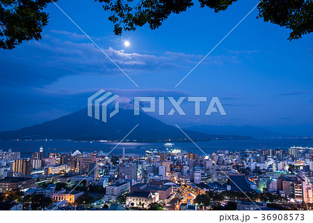 鹿児島　桜島の夜景　市街地　月光の錦江湾 36908573
