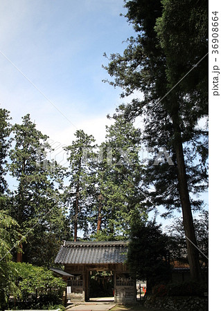 粟鹿神社　境内からの随神門 36908664