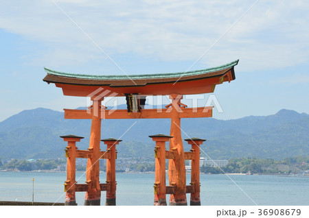 海上の六脚鳥居(厳島神社/広島県廿日市市宮島町) 海上の六脚鳥居(厳島神社/広島県廿日市市宮島町) 36908679
