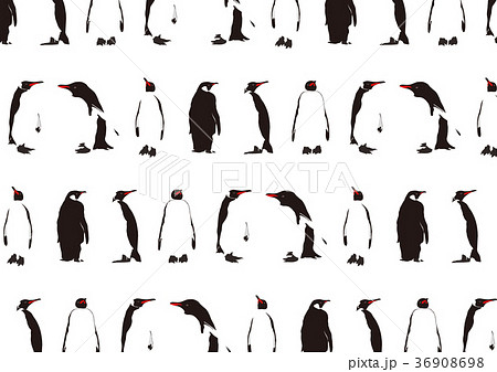 ペンギンのイラスト素材 36908698 Pixta