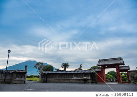 鹿児島　仙巌園から桜島を望む 36909111