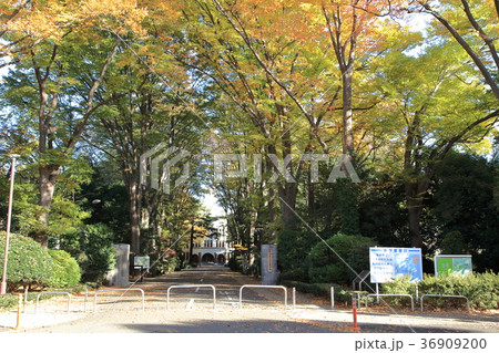 東京農工大学　府中キャンパス　府中市 36909200