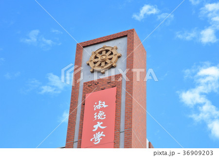 淑徳大学東京キャンパス 板橋区 淑徳大学東京キャンパス 板橋区 36909203