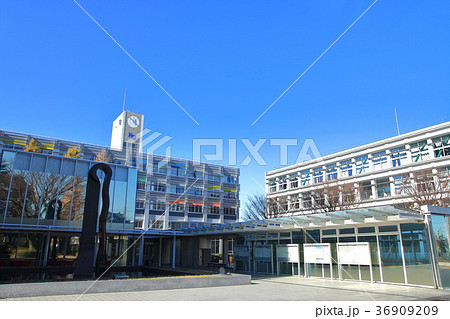 神奈川大学 36909209