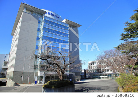 神奈川大学　横浜市 36909210