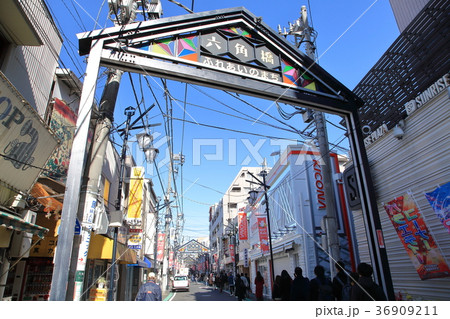 六角橋商店街  横浜市  神奈川区 36909211