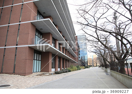 東京農業大学 世田谷区 東京農業大学 世田谷区 36909227