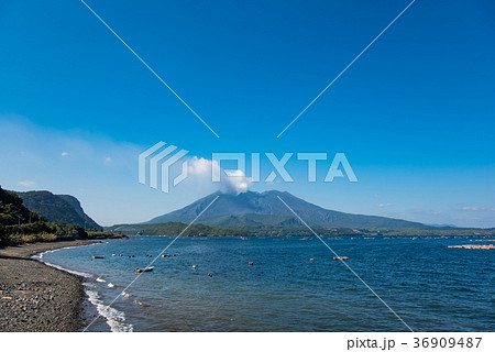 鹿児島 桜島の噴煙 錦江湾の渚 牛根大橋 鹿児島 桜島の噴煙 錦江湾の渚 牛根大橋 36909487