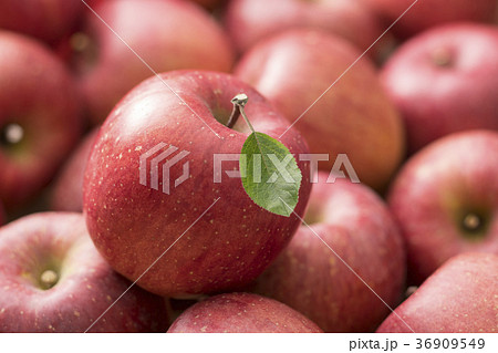 りんご 36909549