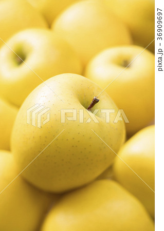りんご りんご 36909697