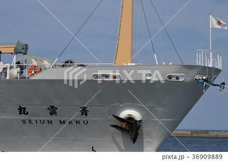 練習船　青雲丸 36909889