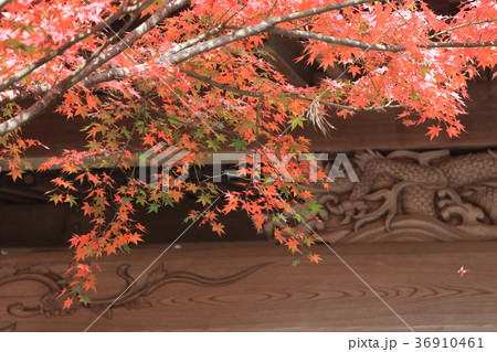 呑山観音 36910461