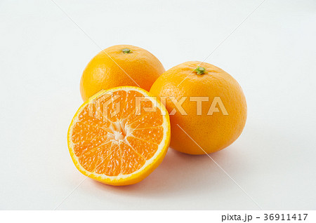 はれひめ はれひめ 36911417