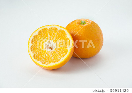伊予柑 伊予柑 36911426