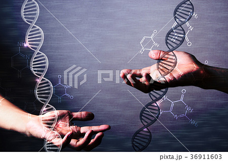 DNA concept DNA concept 36911603