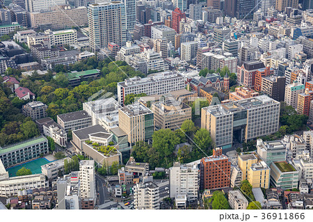 慶應義塾大学 三田キャンパス 36911866