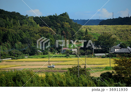 田舎の風景 田園風景 田園 千葉県印西市の写真素材