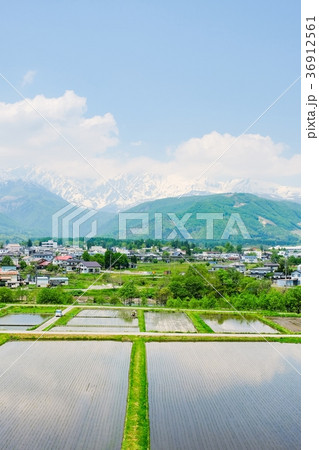 春の農村風景 (5月) 春の農村風景 (5月) 36912561