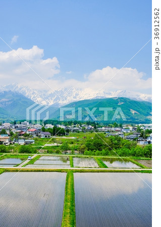春の農村風景 (5月) 春の農村風景 (5月) 36912562