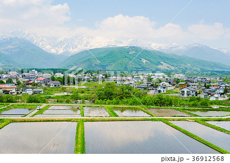 春の農村風景 (5月) 春の農村風景 (5月) 36912568