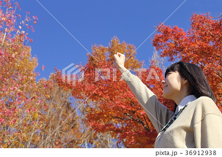 希望に満ちた高校生　紅葉 36912938