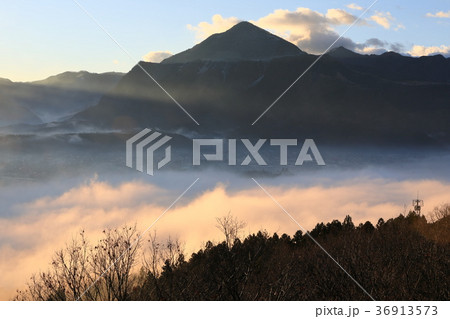武甲山と秩父盆地の雲海 36913573