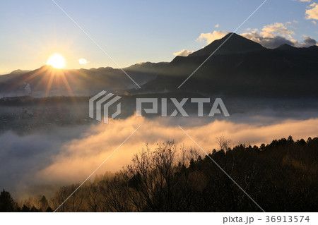 武甲山と秩父盆地の雲海 36913574