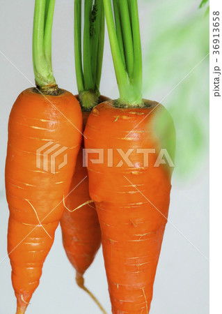 食材 野菜 ベジタブル 36913658
