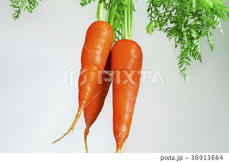 野菜 ベジタブル 青菜 36913664