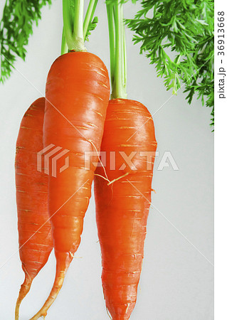 野菜 ベジタブル 青菜 36913668