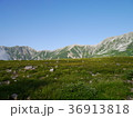 室堂の山々2 36913818