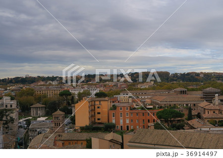 パラティーノの丘から撮影したローマの街 パラティーノの丘から撮影したローマの街 36914497