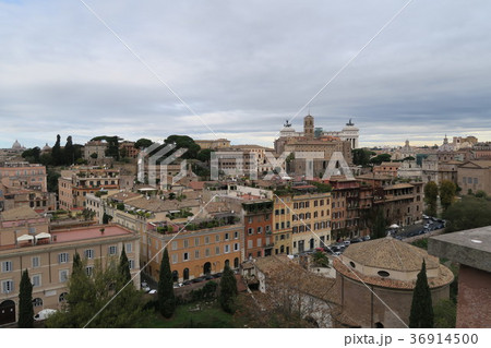 パラティーノの丘から撮影したローマの街 パラティーノの丘から撮影したローマの街 36914500