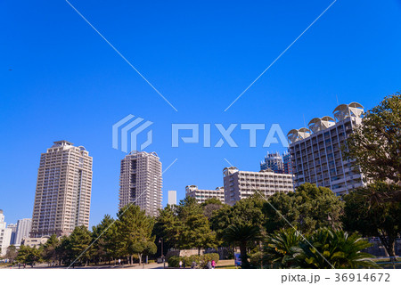 お台場海浜公園おだいばビーチと高層ビル 36914672