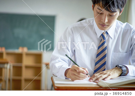 教室で勉強をする学生 教室で勉強をする学生 36914850
