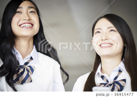 教室にいる学生 教室にいる学生 36915477