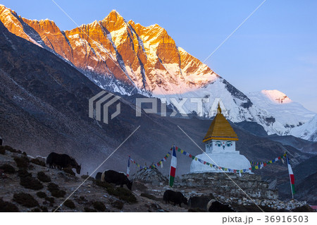 Buddhist stupa on mountain trekking path in 36916503