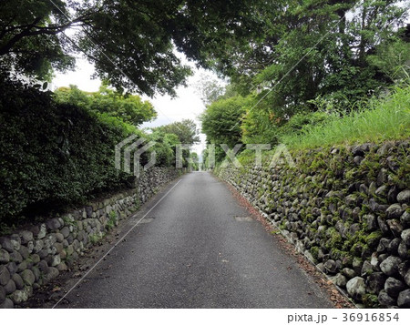 鹿児島県出水市　武家屋敷の玉石垣 36916854