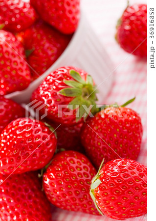 いちご - もういっこ 36916858