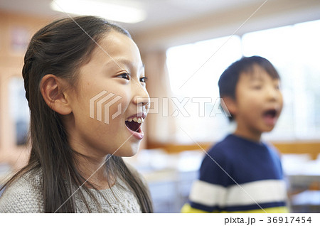 小学校 小学校 36917454