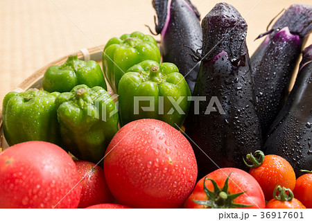 夏野菜　盛合せ（家庭菜園）しずる 36917601