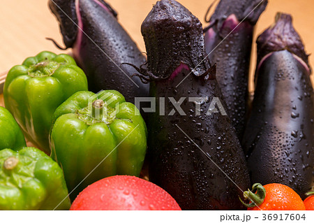 夏野菜　盛合せ（家庭菜園）しずる 36917604