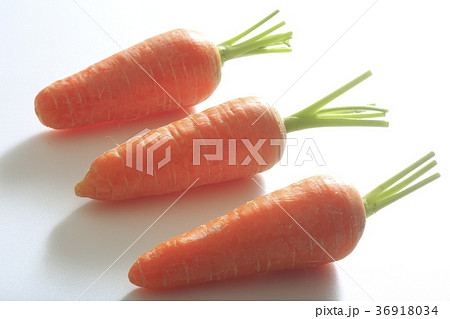 宮城県産人参 36918034