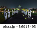 ナイトシーン 夕映 夜景 36918493