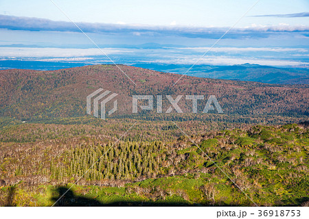 大雪山旭岳 紅葉 大雪山旭岳 紅葉 36918753